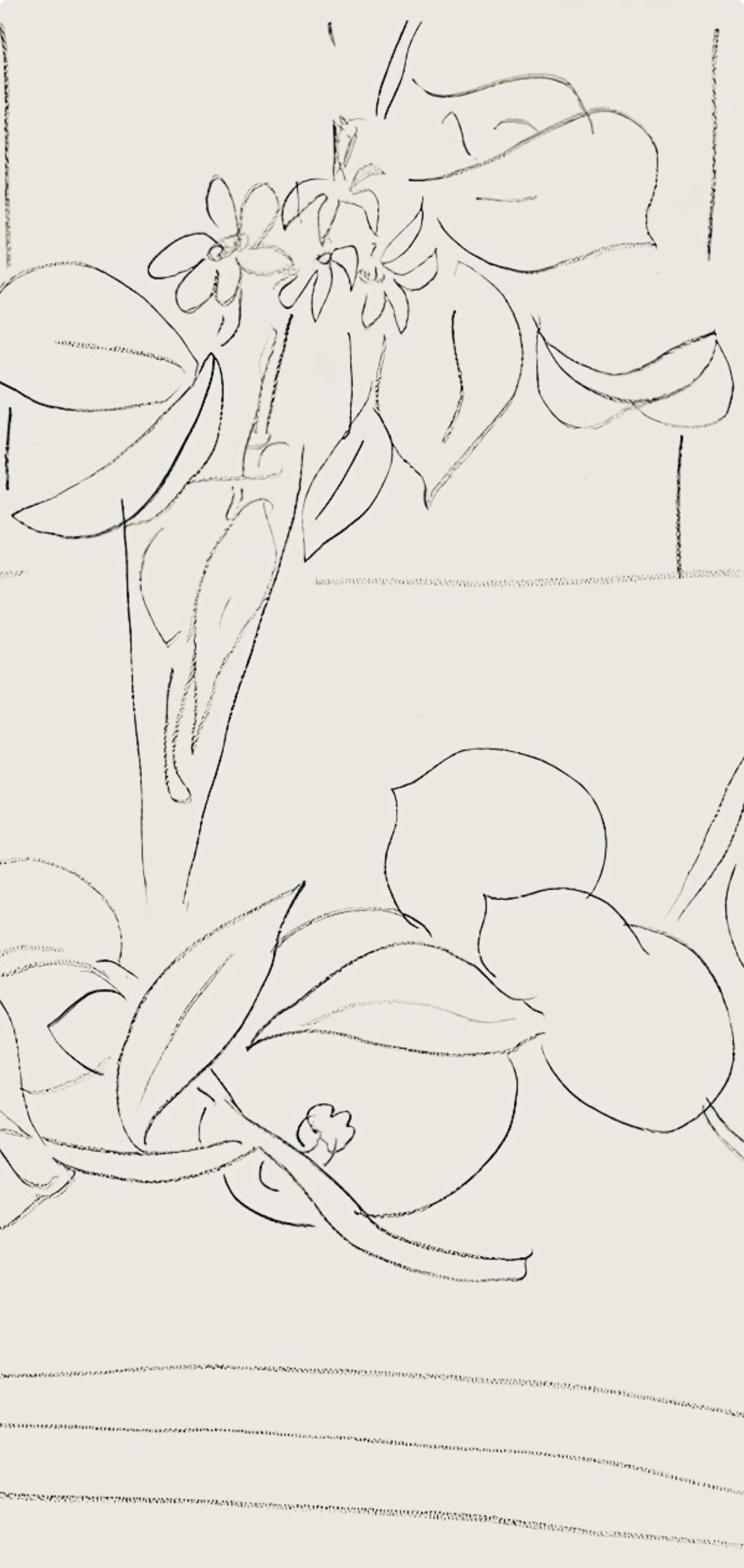 Henri Matisse, Série M, var. 7 (Duthuit 9), Henri Matisse, Dessins, Thèmes et variations, Limited Edition Lithograph