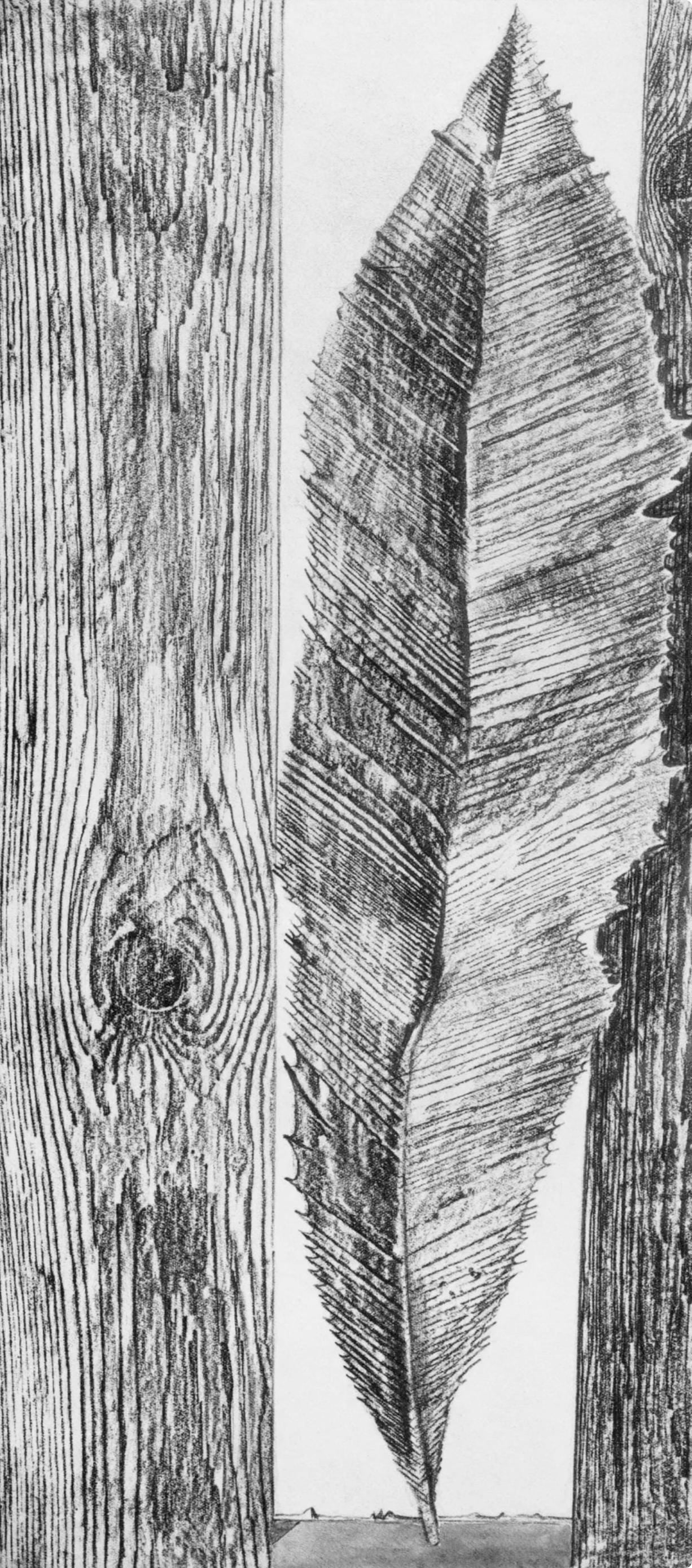 Max Ernst, Composition (Spies/Leppien 222), Histoire Naturelle, Limited Edition Lithograph