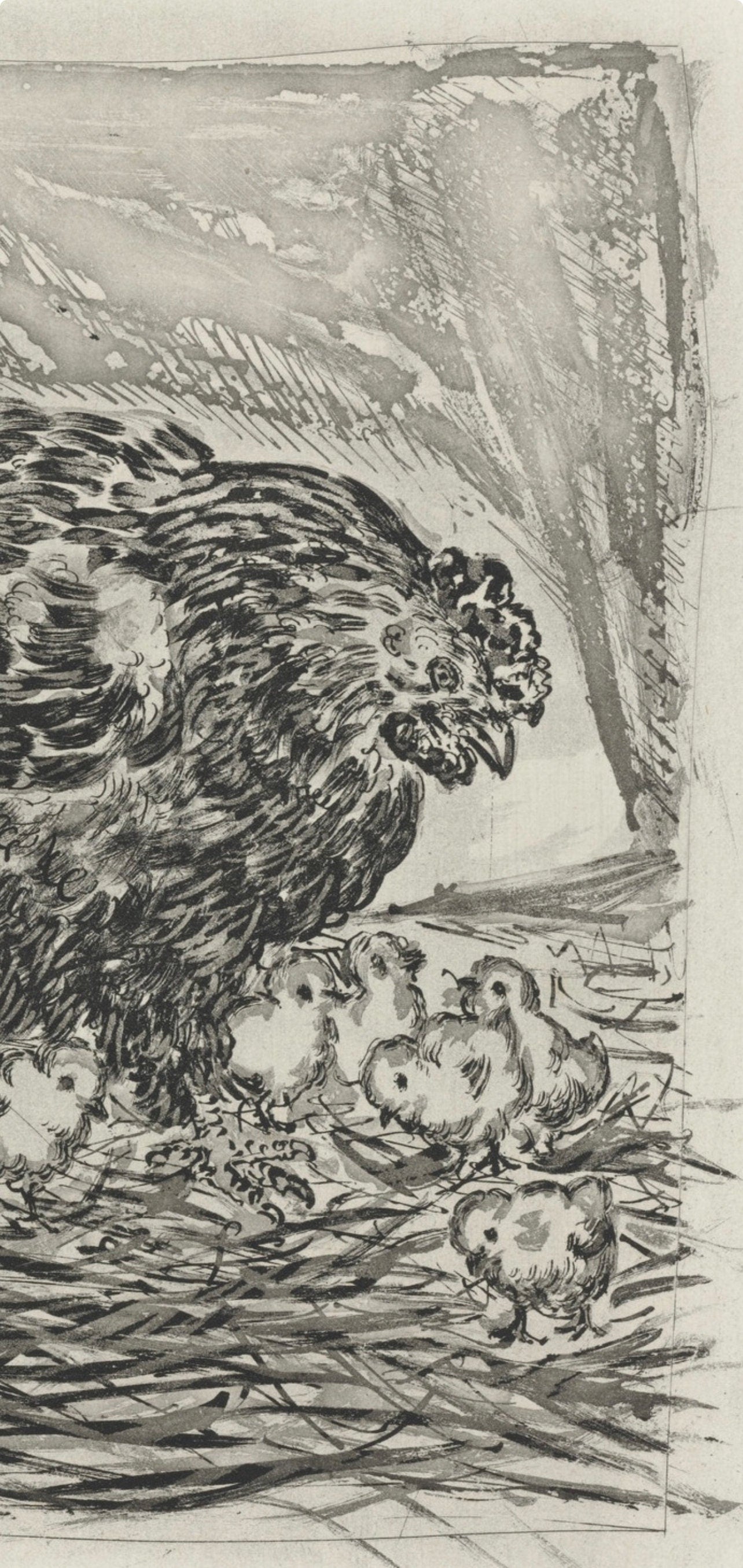 Pablo Picasso, La Mère poule, Histoire naturelle, Limited Edition Lithograph