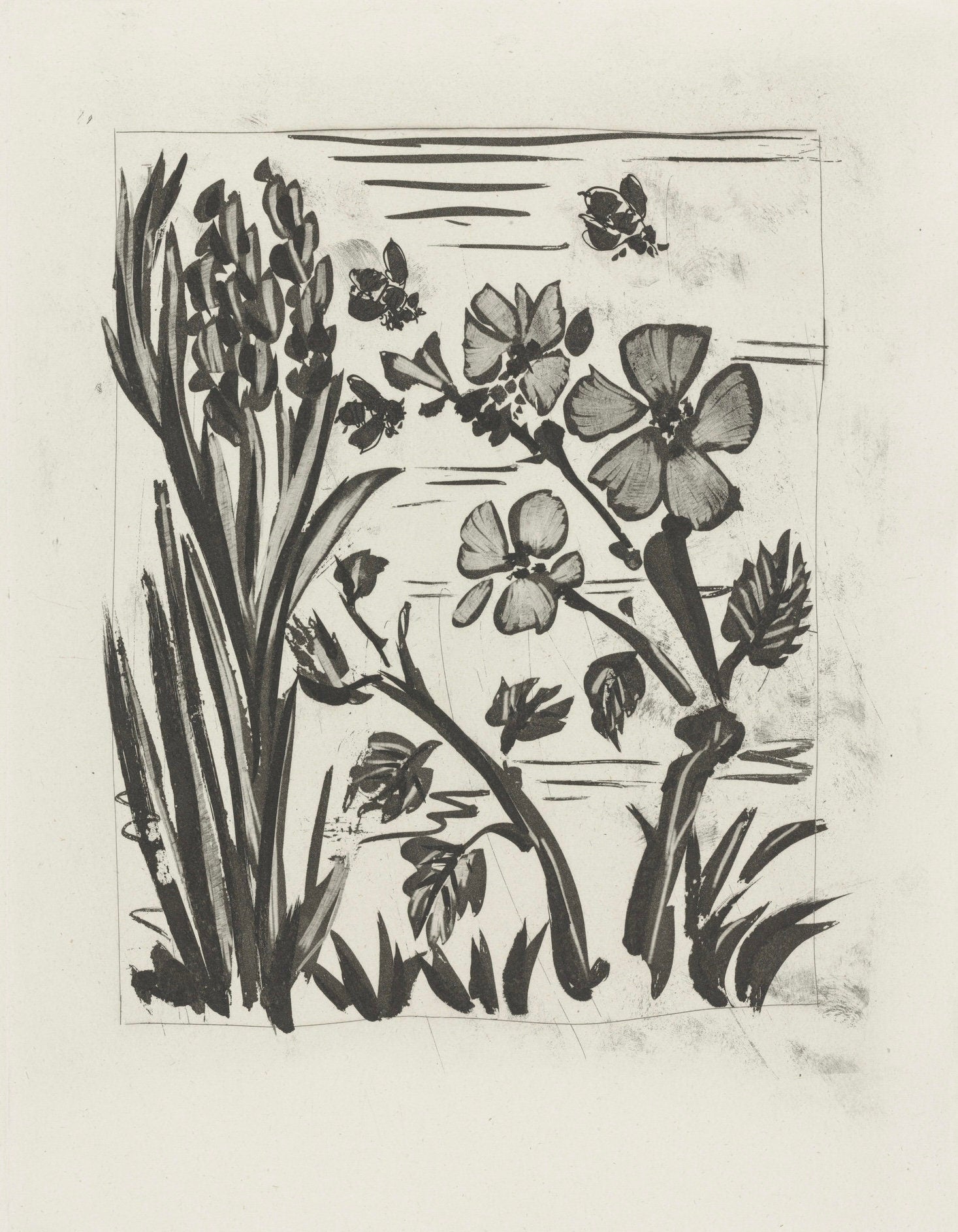 Pablo Picasso, L'Abeille, Histoire naturelle, Limited Edition Lithograph