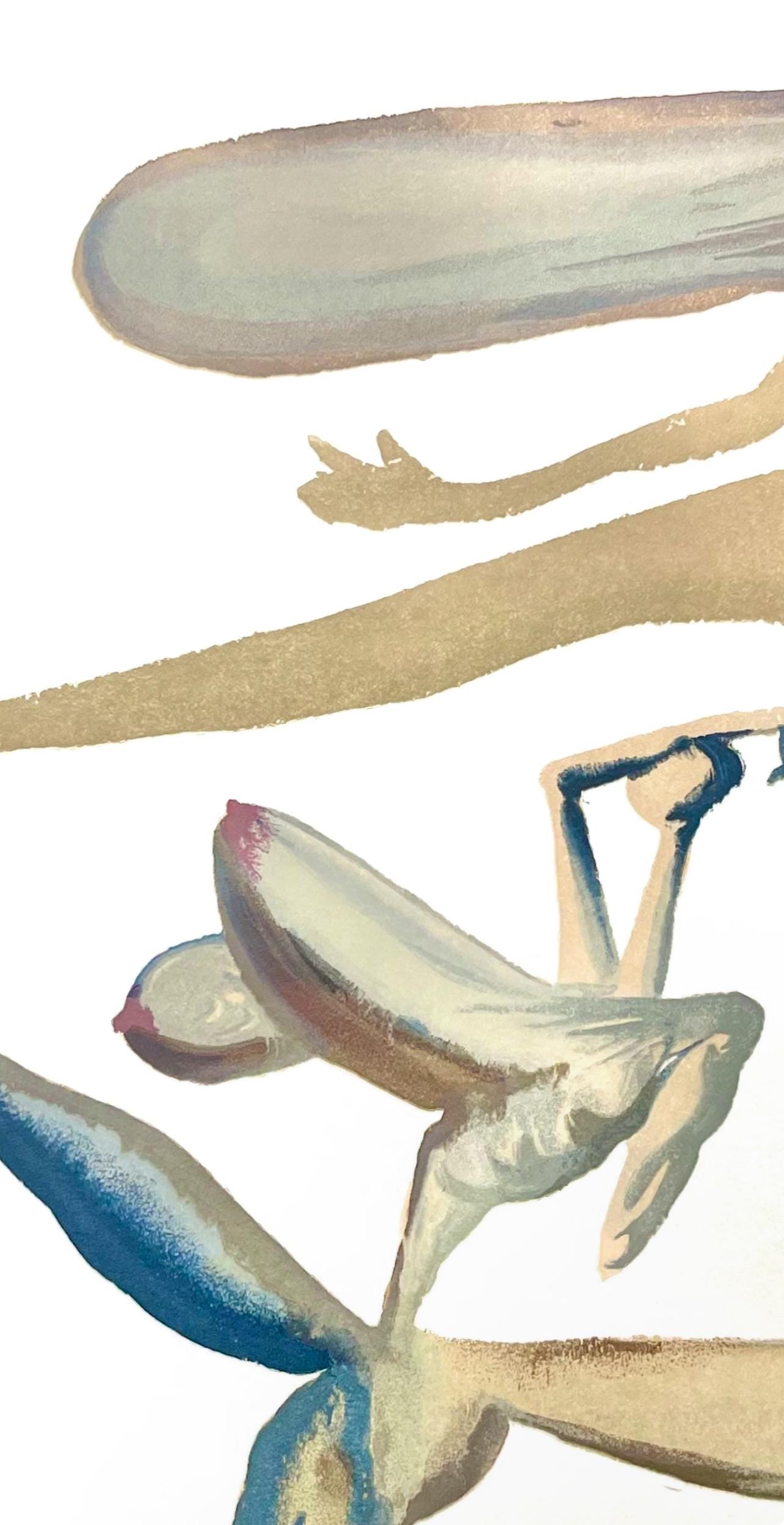 Salvador Dali, Fegefeuer XXII (Field 189-200; Michler/Löpsinger 1039-1138), Die Göttliche Komödie, Signed, Limited Edition Woodcut