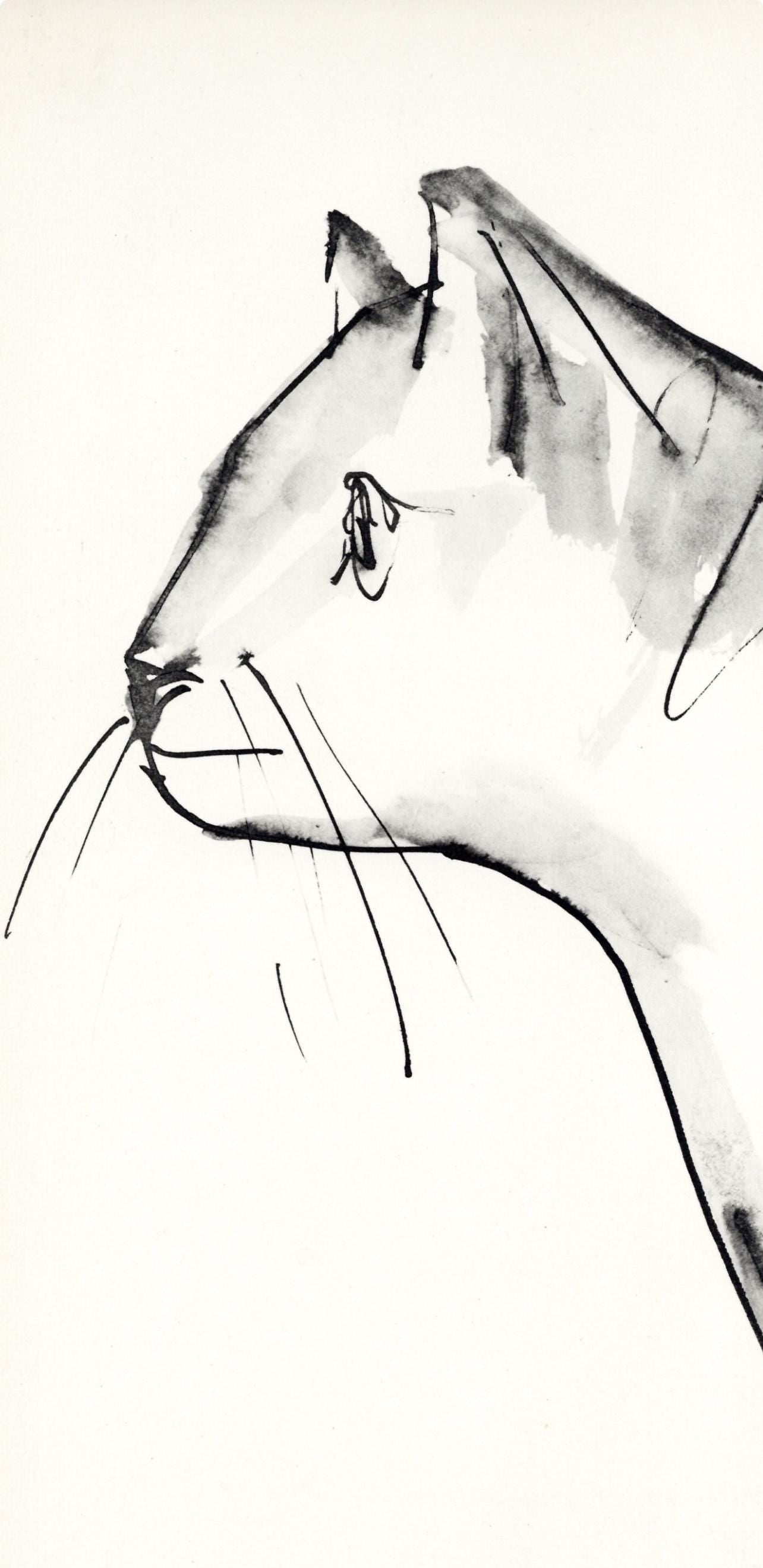 Pablo Picasso, Un chat (Cramer No. 84), 40 dessins de Picasso en marge du Buffon, Limited Edition Lithograph