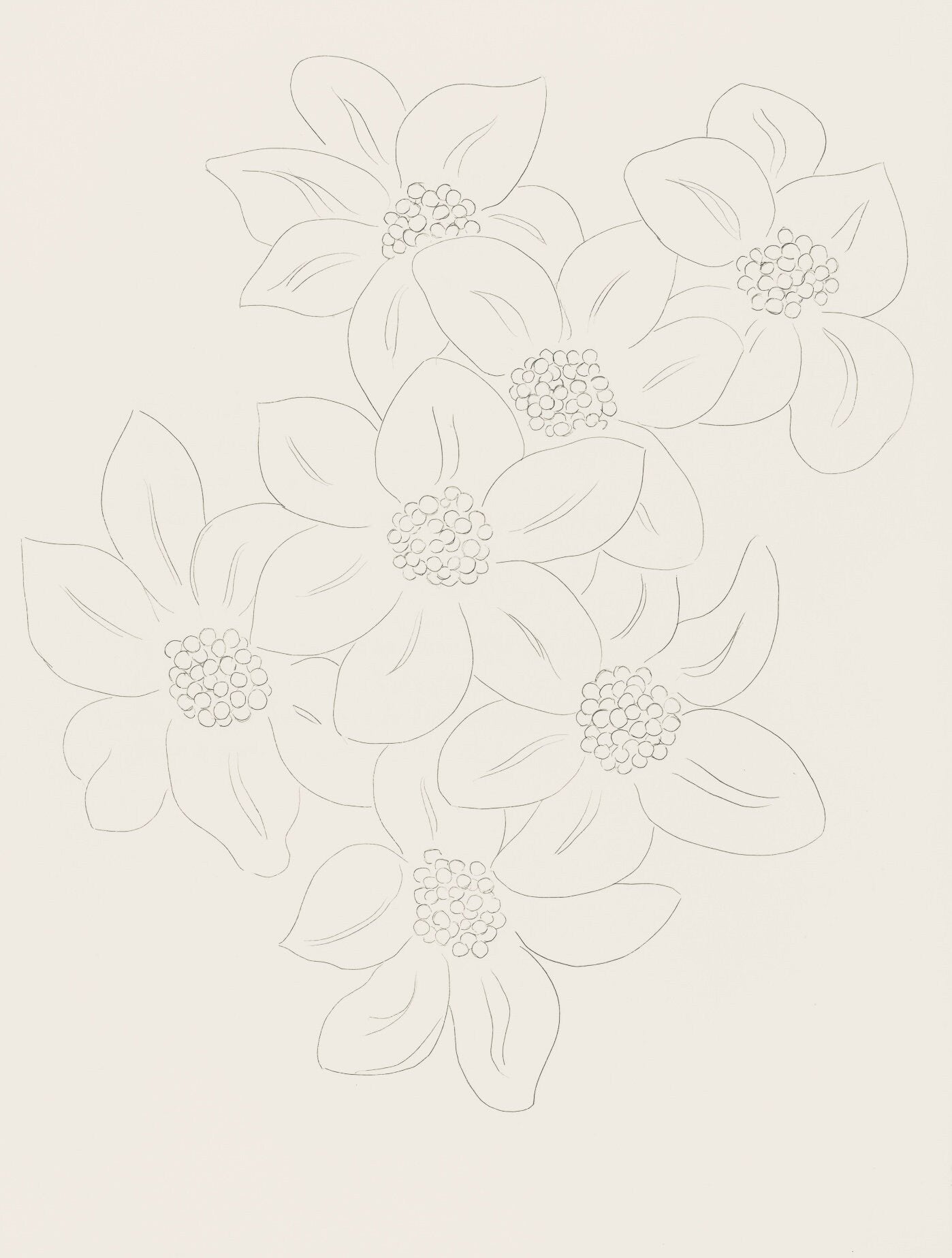 Henri Matisse, Les Fleurs (Flowers), Poésies, Limited Edition Lithograph