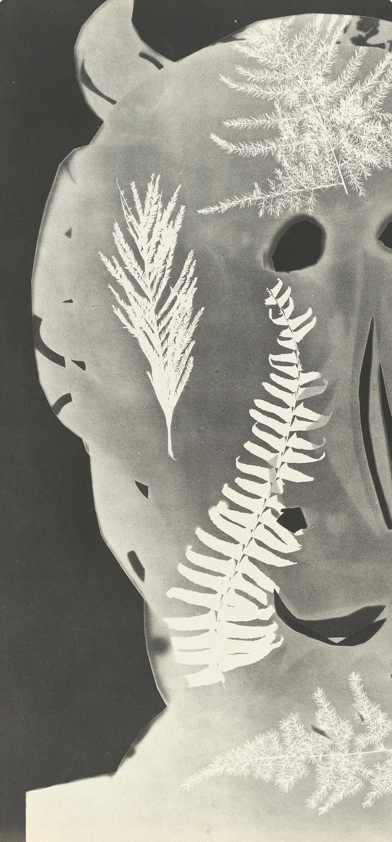 Pablo Picasso, Composition (Bloch 112; Kibbey 1466; Goeppert 115), Diurnes Découpages et Photographies, Limited Edition Phototype