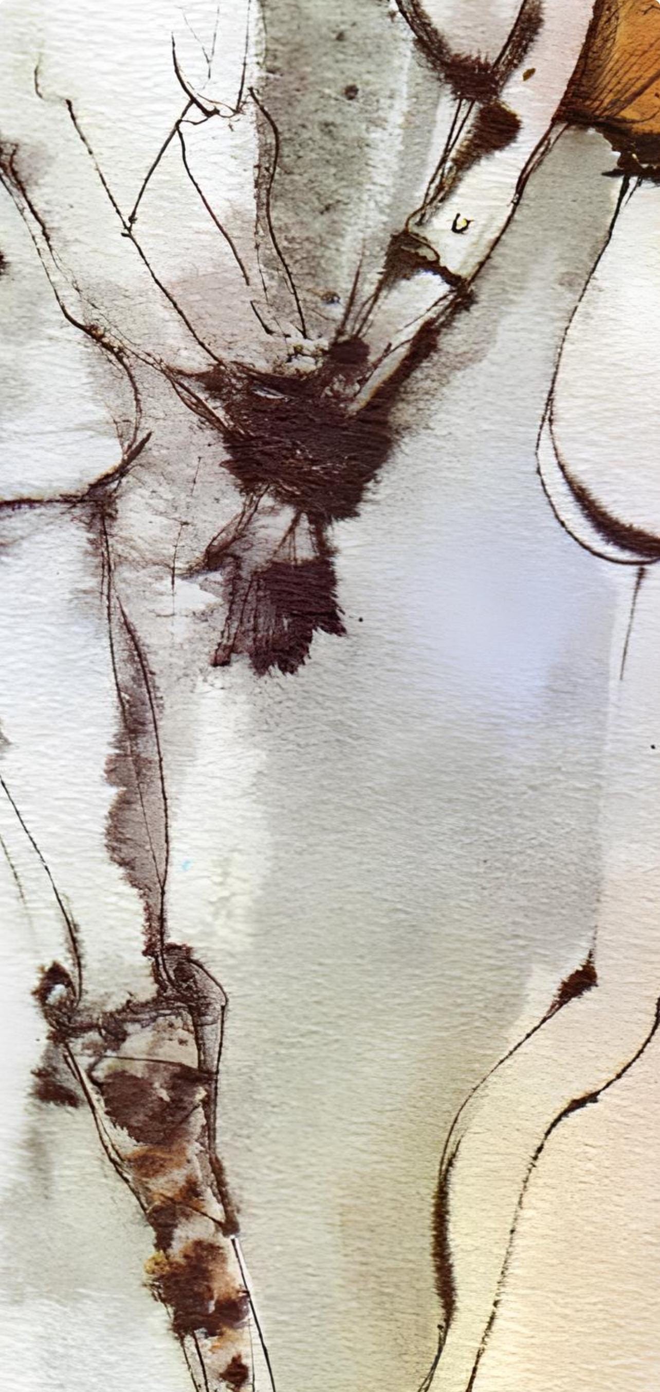 Léonor Fini, Composition, Histoire d'O, Limited Edition Lithograph