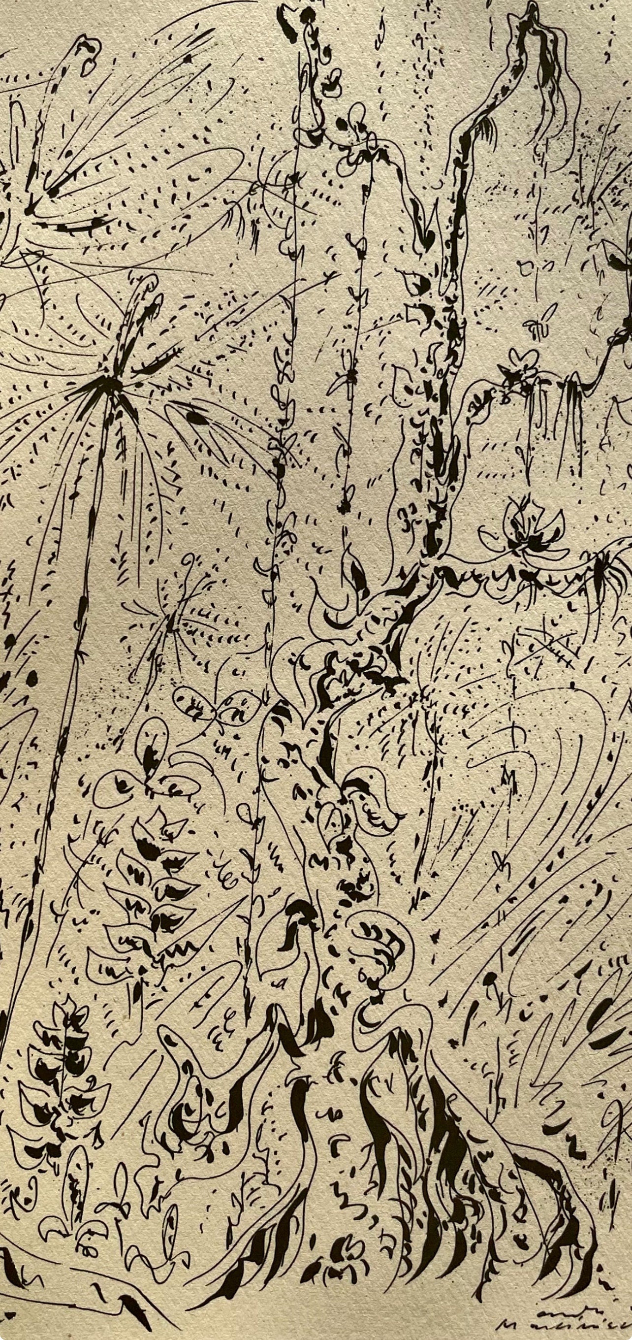 André Masson, Forêt martiniquaise, Masson Dessins, Limited Edition Lithograph