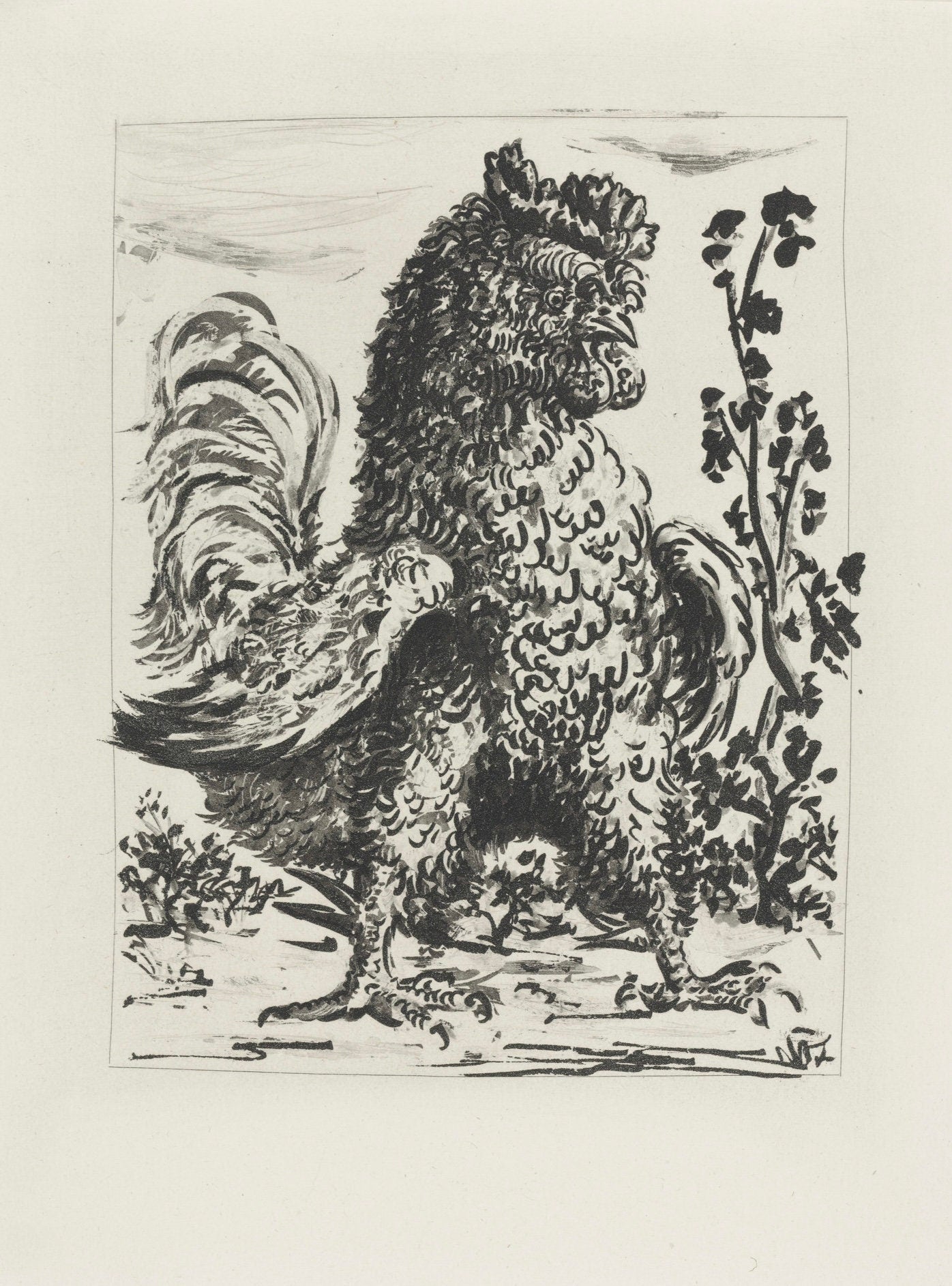 Pablo Picasso, Le Coq, Histoire naturelle, Limited Edition Lithograph