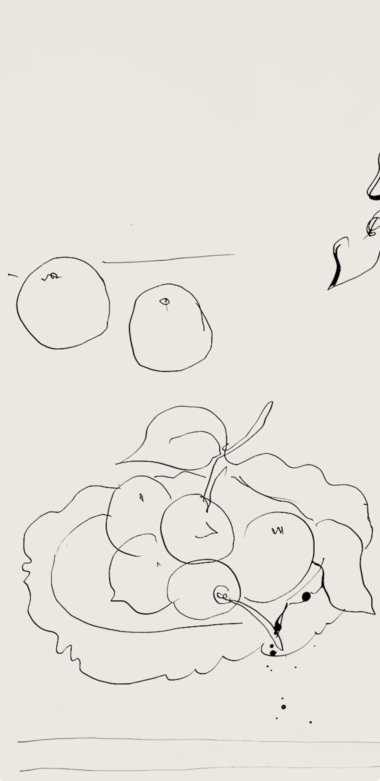 Henri Matisse, Série A, var. 1 (Duthuit 9), Henri Matisse, Dessins, Thèmes et variations, Limited Edition Lithograph