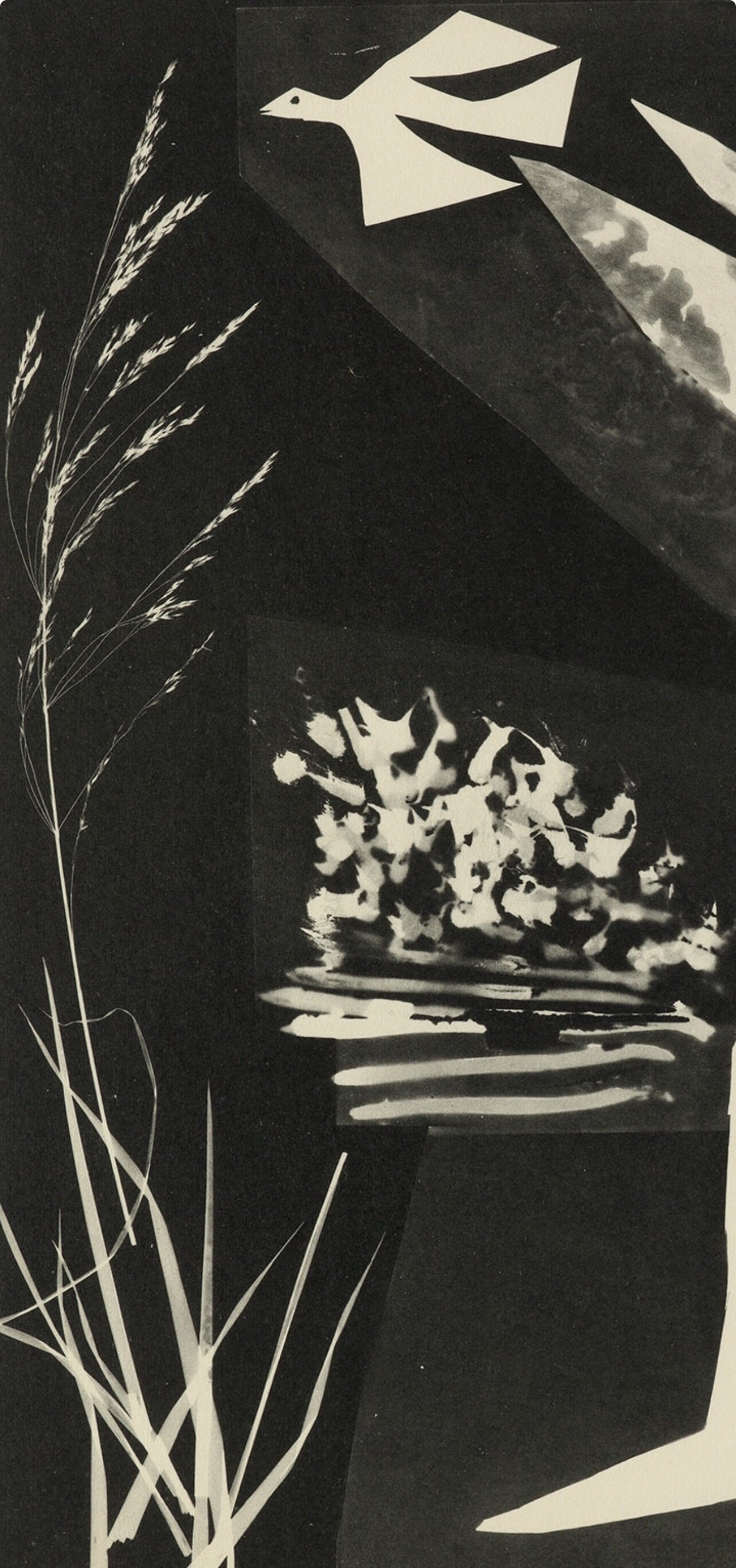Pablo Picasso, Composition (Bloch 112; Kibbey 1466; Goeppert 115), Diurnes Découpages et Photographies, Limited Edition Phototype