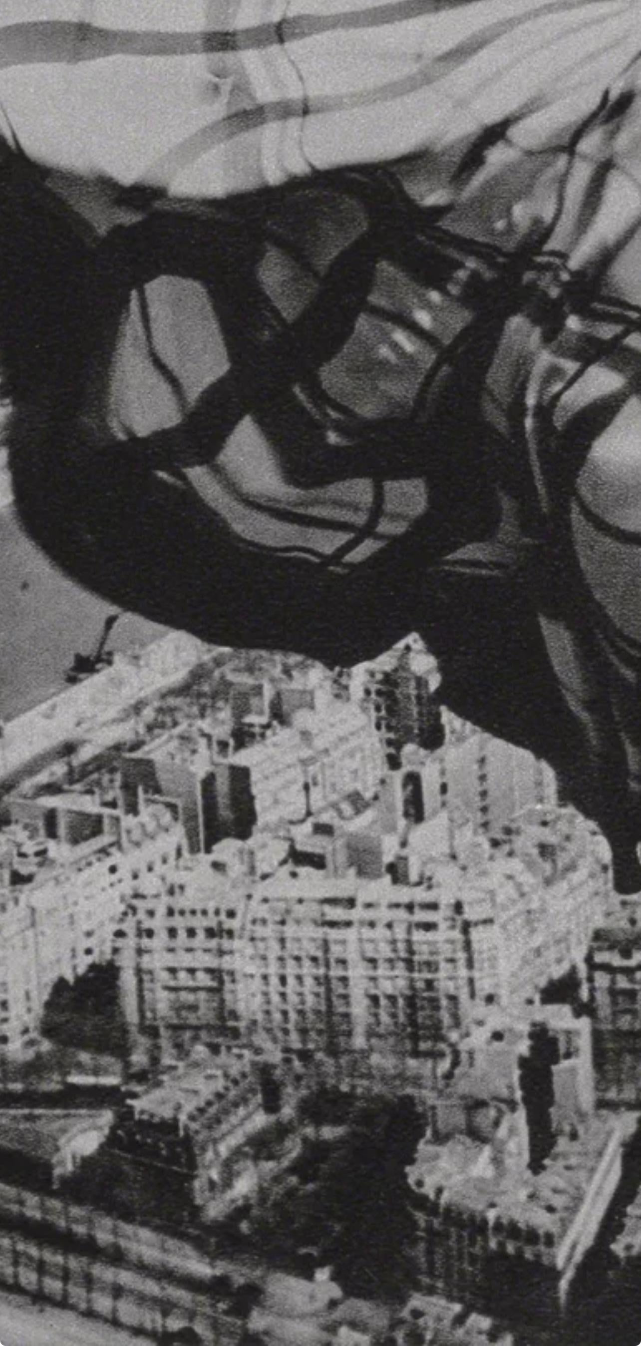 Erwin Blumenfeld, Composition, Erwin Blumenfeld, Electa Editrice Portfolios, Limited Edition Héliogravure