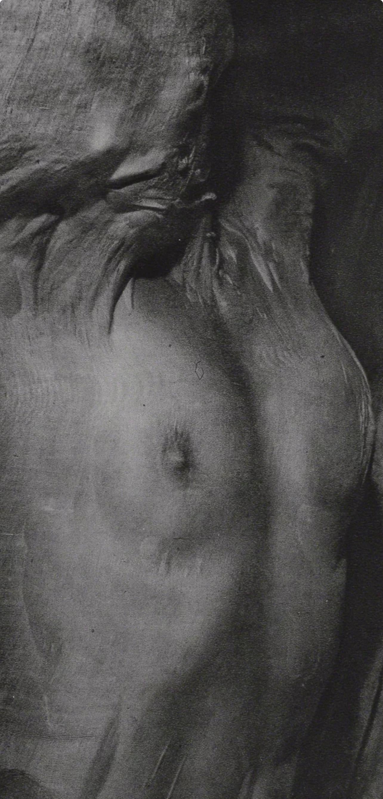 Erwin Blumenfeld, Composition, Erwin Blumenfeld, Electa Editrice Portfolios, Limited Edition Héliogravure