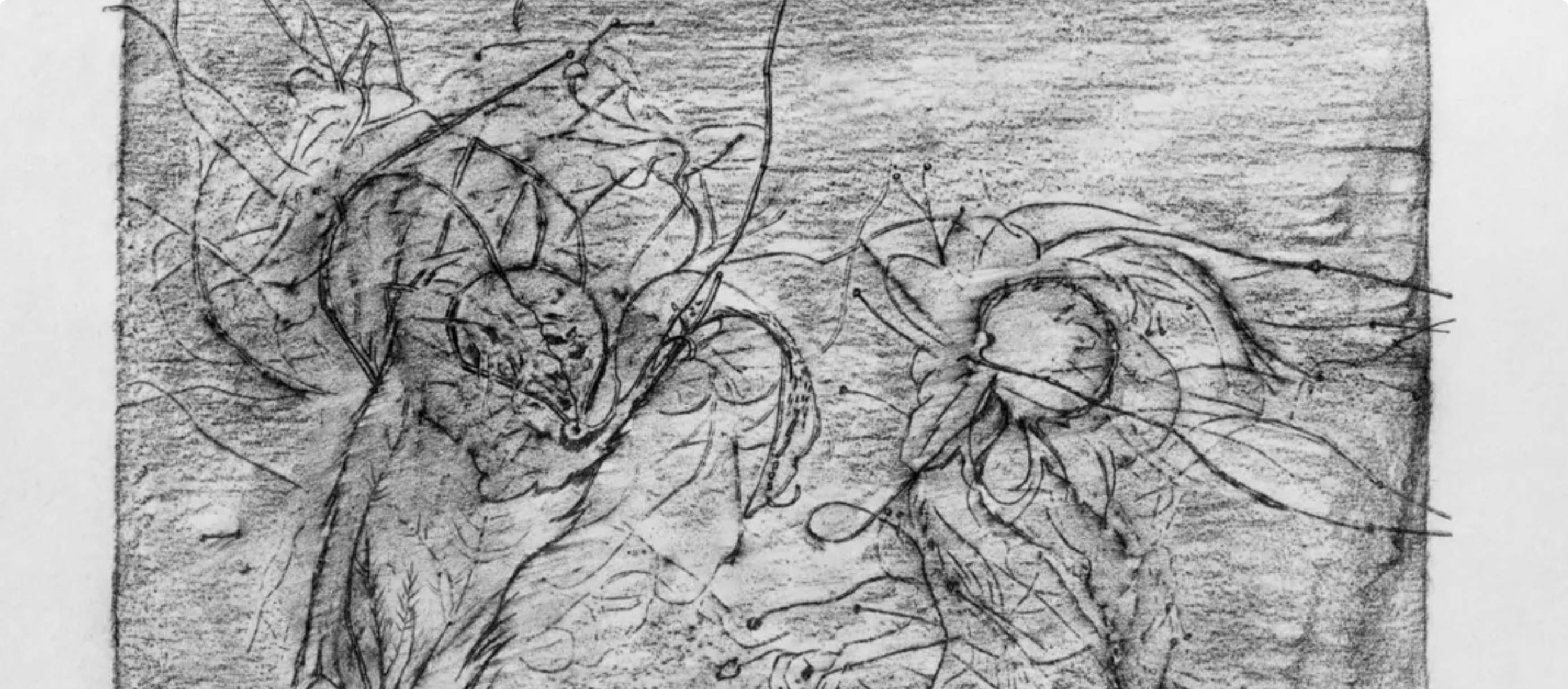 Max Ernst, Composition (Spies/Leppien 222), Histoire Naturelle, Limited Edition Lithograph