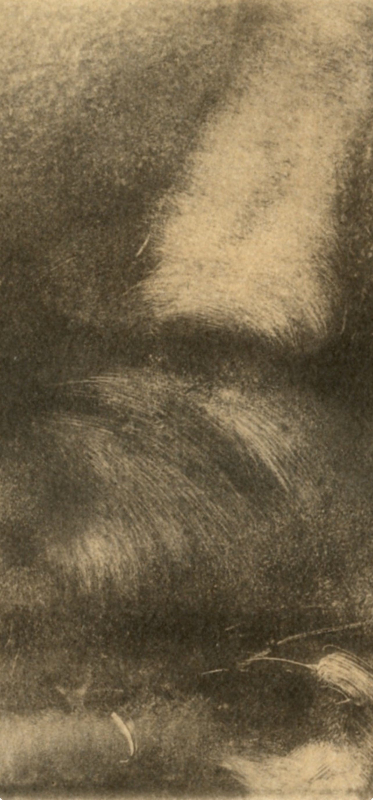 Edgar Degas, Nu couche, E. Degas Monotypes, Limited Edition Monotype