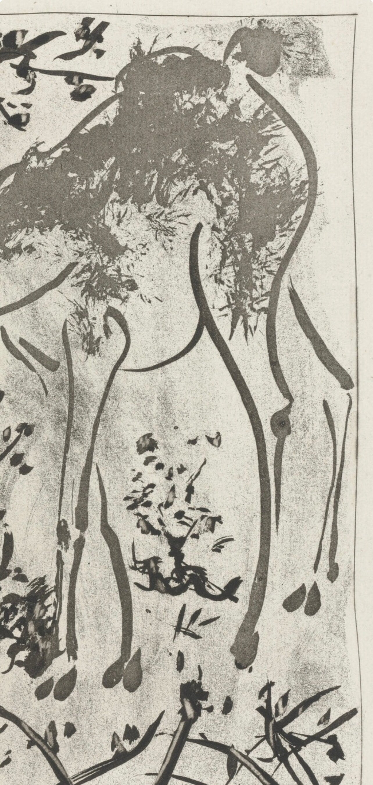 Pablo Picasso, Le Cerf, Histoire naturelle, Limited Edition Lithograph