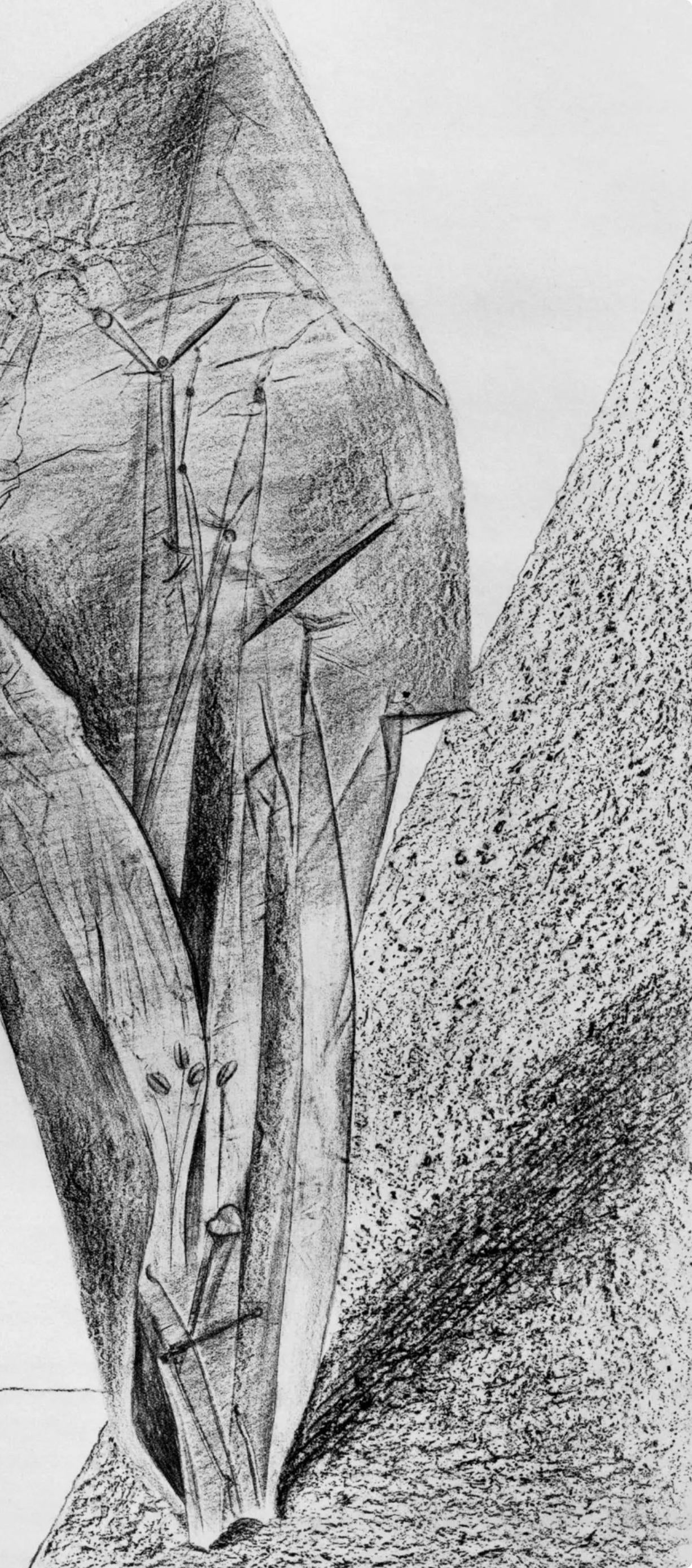 Max Ernst, Composition (Spies/Leppien 222), Histoire Naturelle, Limited Edition Lithograph