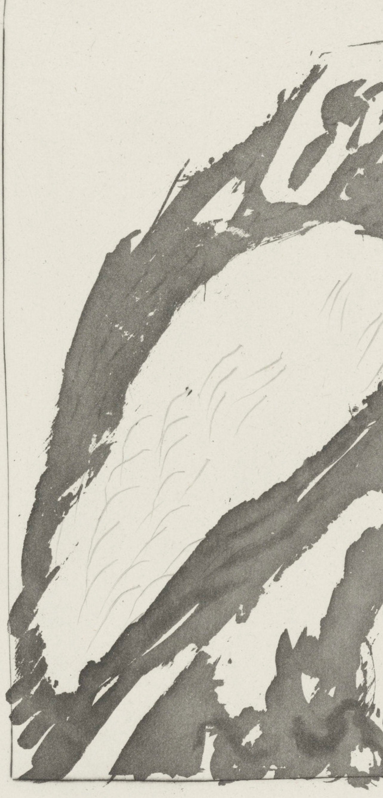Pablo Picasso, L'Aigle, Histoire naturelle, Limited Edition Lithograph