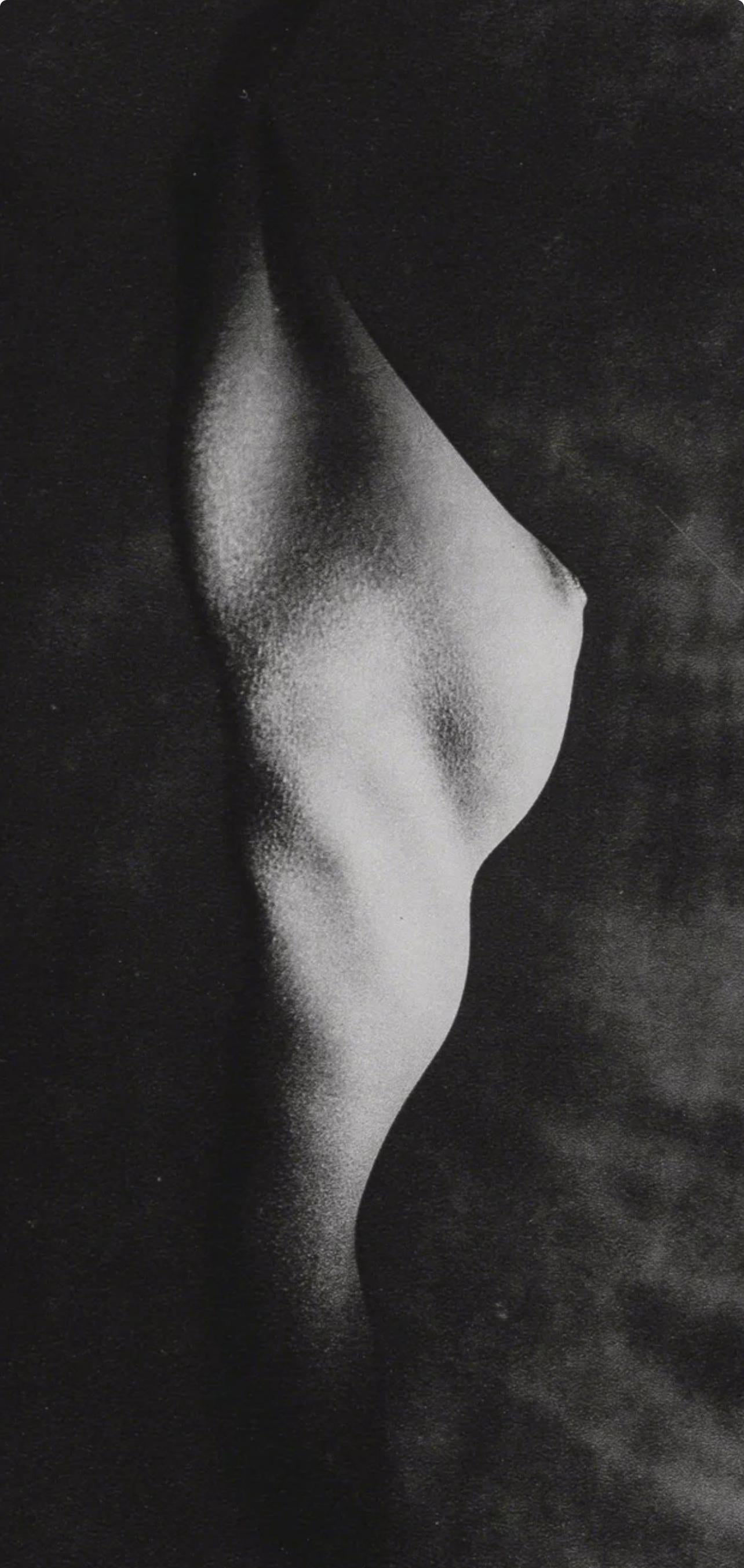 Erwin Blumenfeld, Composition, Erwin Blumenfeld, Electa Editrice Portfolios, Limited Edition Héliogravure