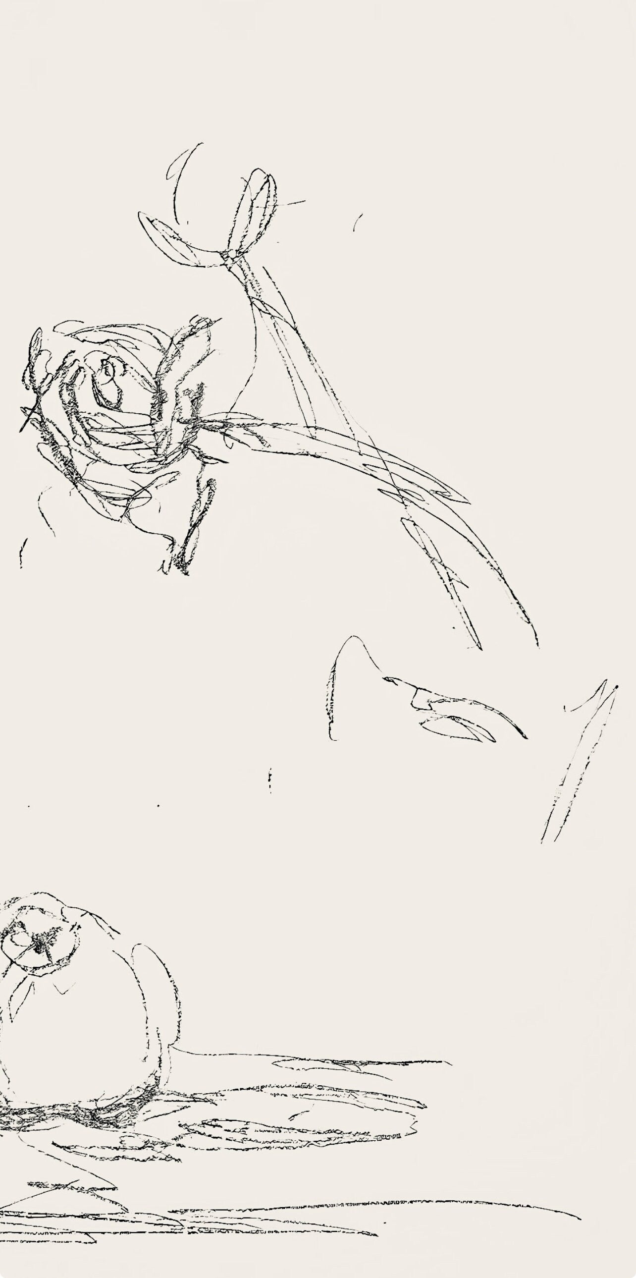 Alberto Giacometti, Fleurs, Souvenirs et portraits d'artistes, Limited Edition Lithograph