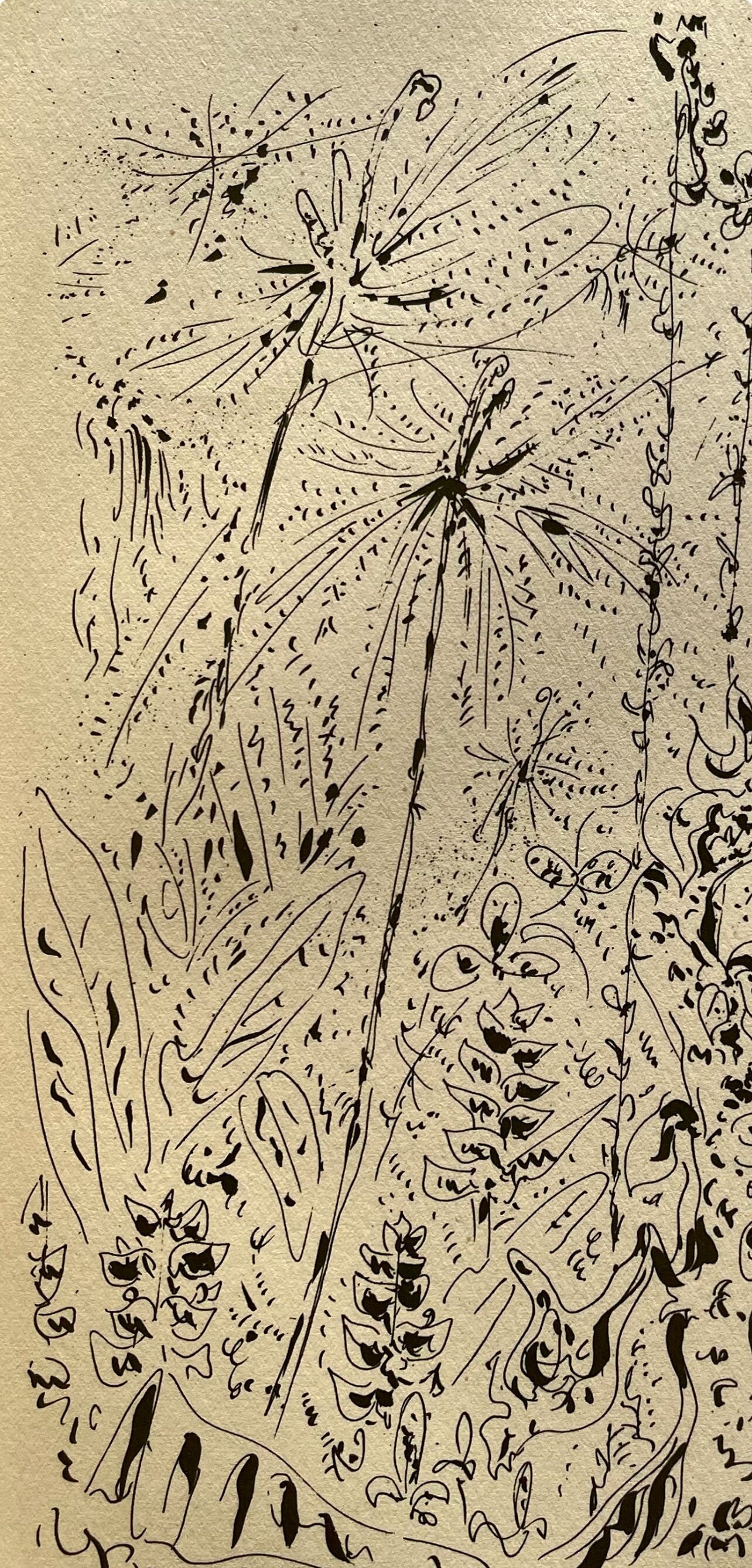 André Masson, Forêt martiniquaise, Masson Dessins, Limited Edition Lithograph
