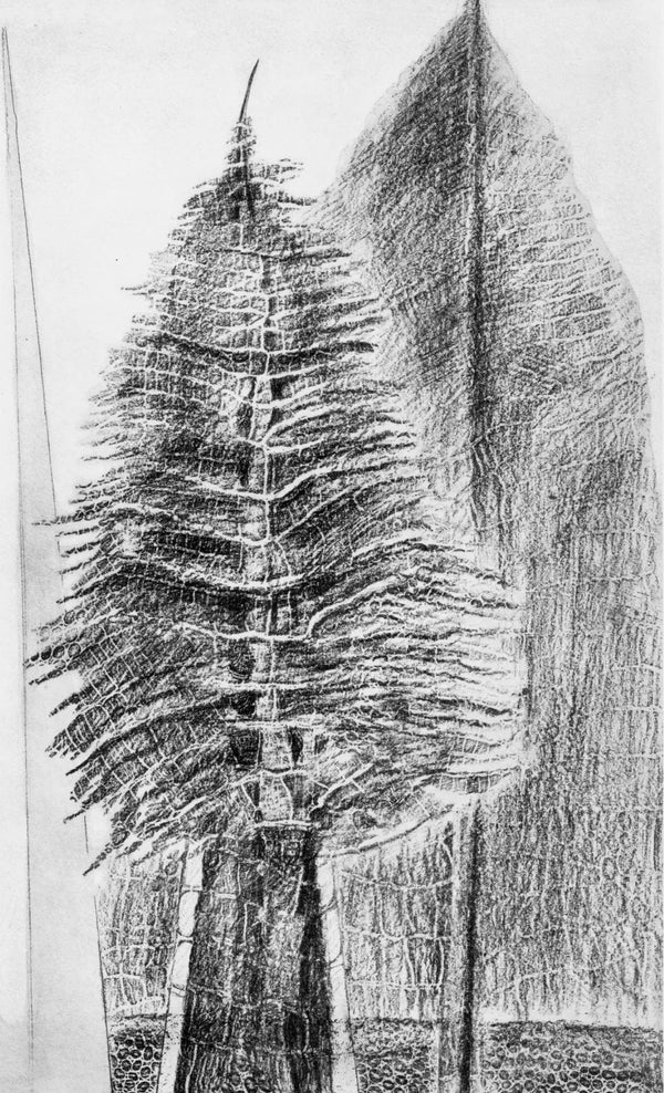 Max Ernst, Composition (Spies/Leppien 222), Histoire Naturelle, Limited Edition Lithograph